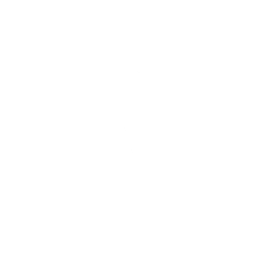 Stuntman