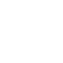 L-ITA 99