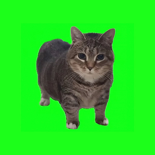 フォートナイトのOIIA OIIA (Spinning Cat)