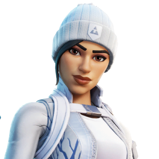 Fortnite Frost Squad outfit