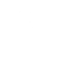 Volée de Birdarangs
