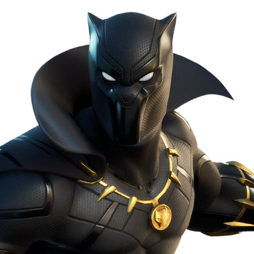 Fortnite Black Panther outfit