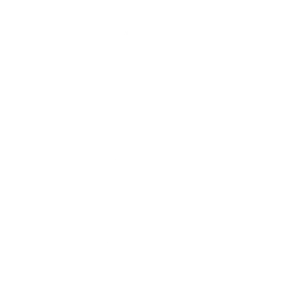 Reporting for Duty