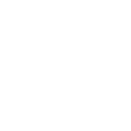 Ford Bronco Raptor