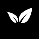 Banner Icon