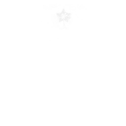 Fortniteemote Wishing Star