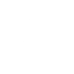 Fortniteemote The Spark