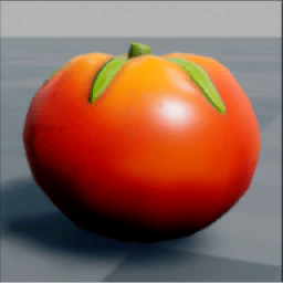 Tomato