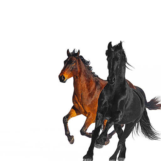 Fortnitesparks_song Old Town Road (Remix)