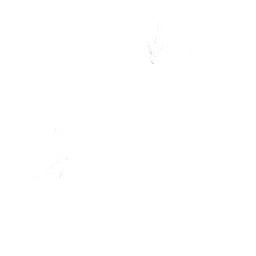 Tagger's Groove