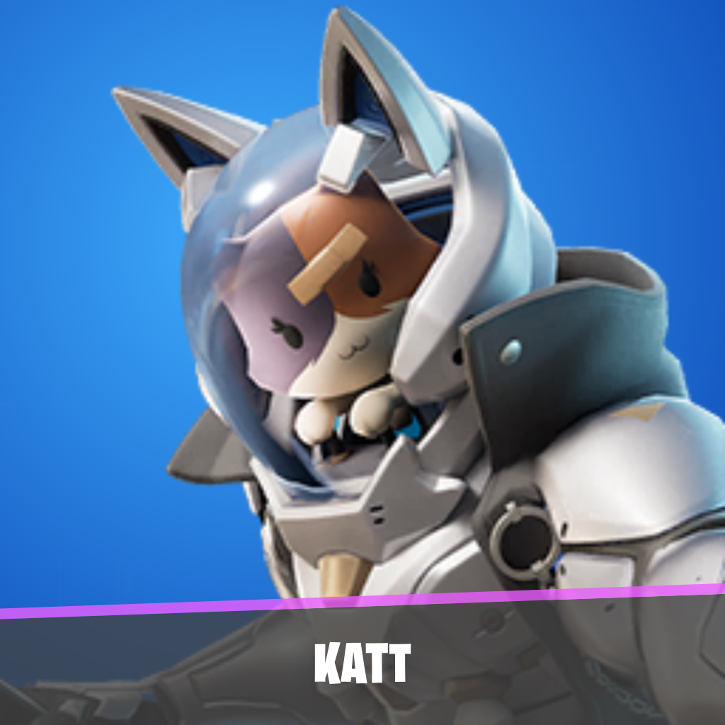 imagen principal del skin Katt