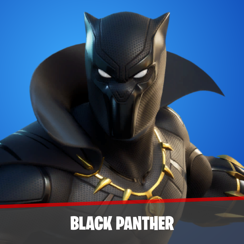 imagen principal del skin Black Panther
