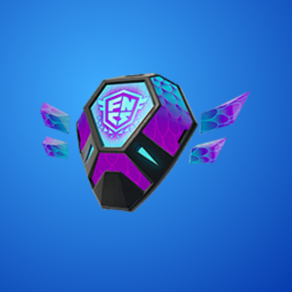 Combatiente de la FNCS