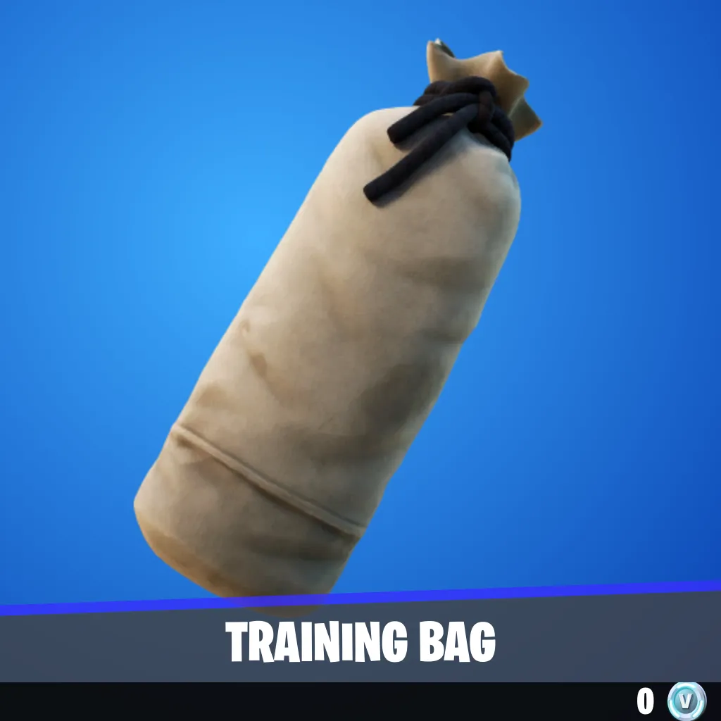 Training Bag