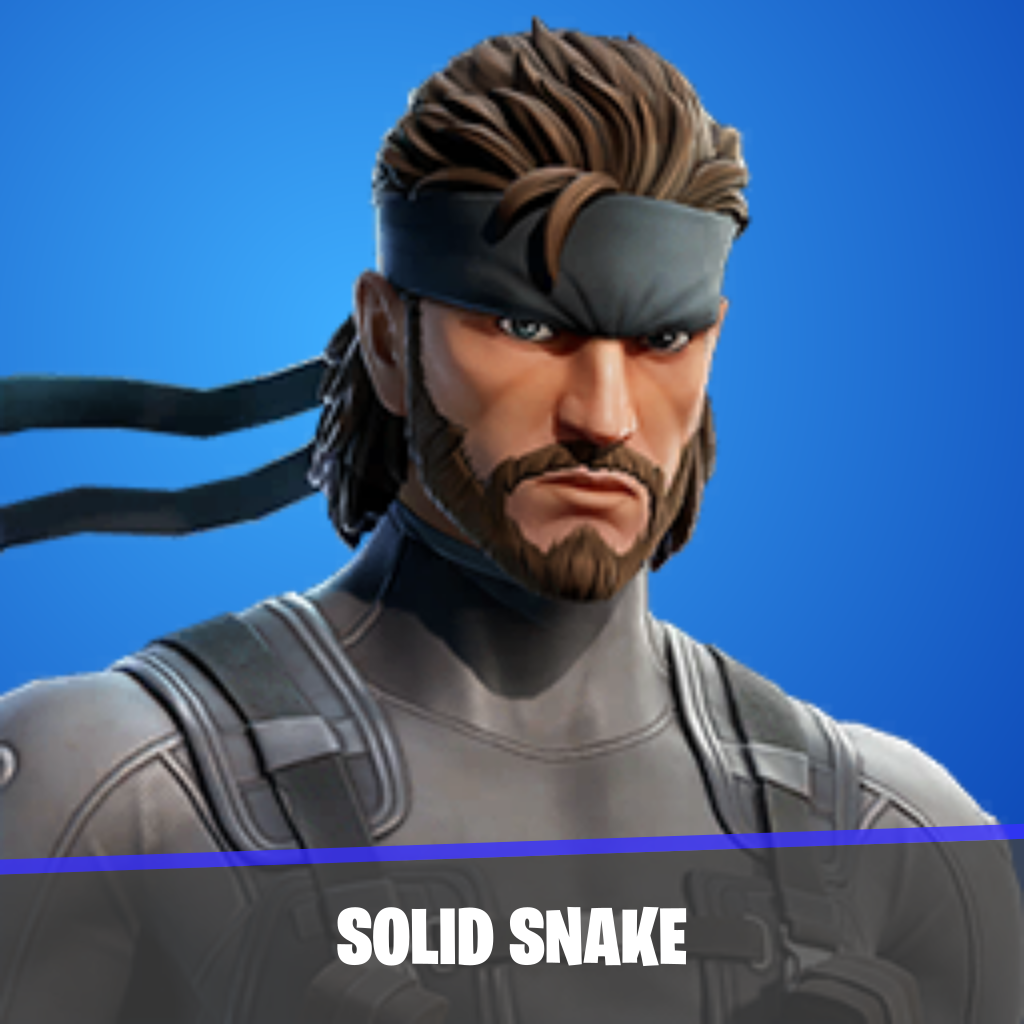 imagen principal del skin Solid Snake