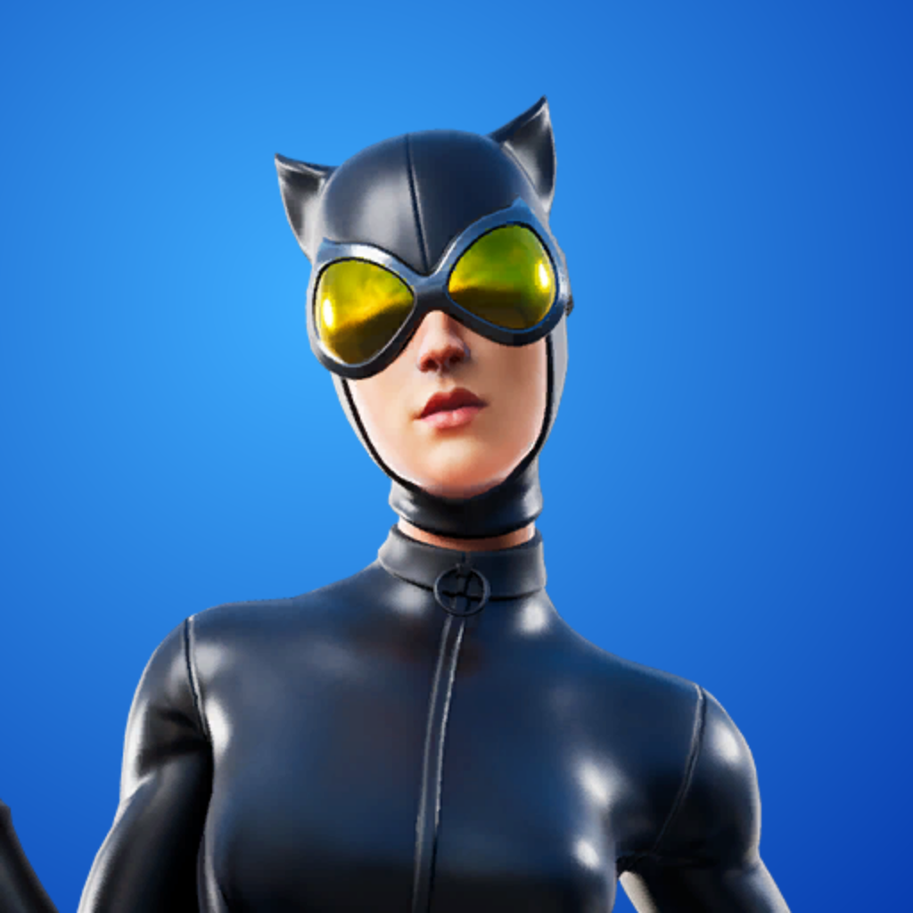 Catwoman Comic Book Outfit