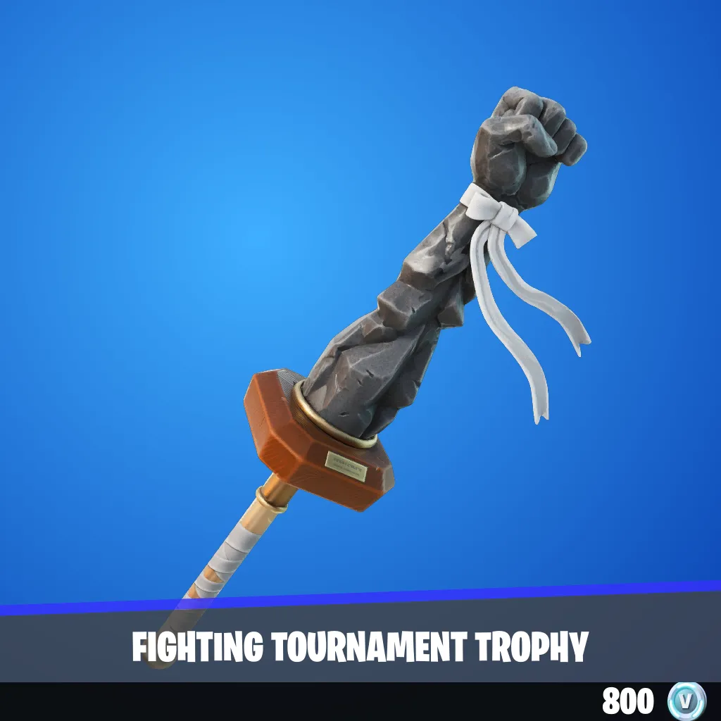 Fighting Tournament Trophy