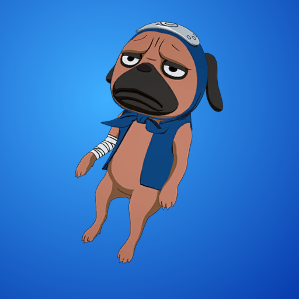 Pakkun