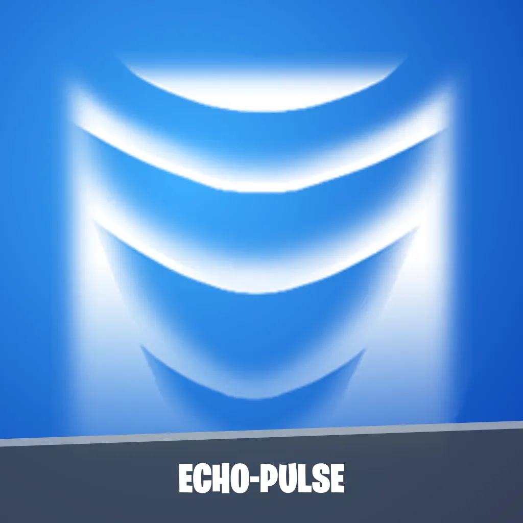 Echo-Pulse