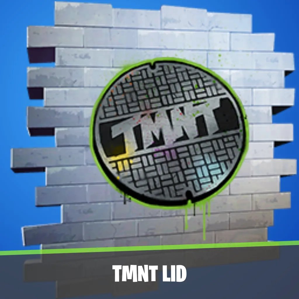 TMNT Lid