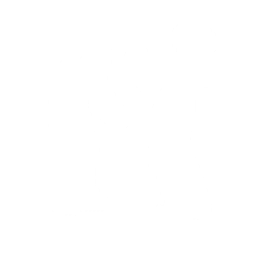 フォートナイトエモートのDisco (Surf Curse)