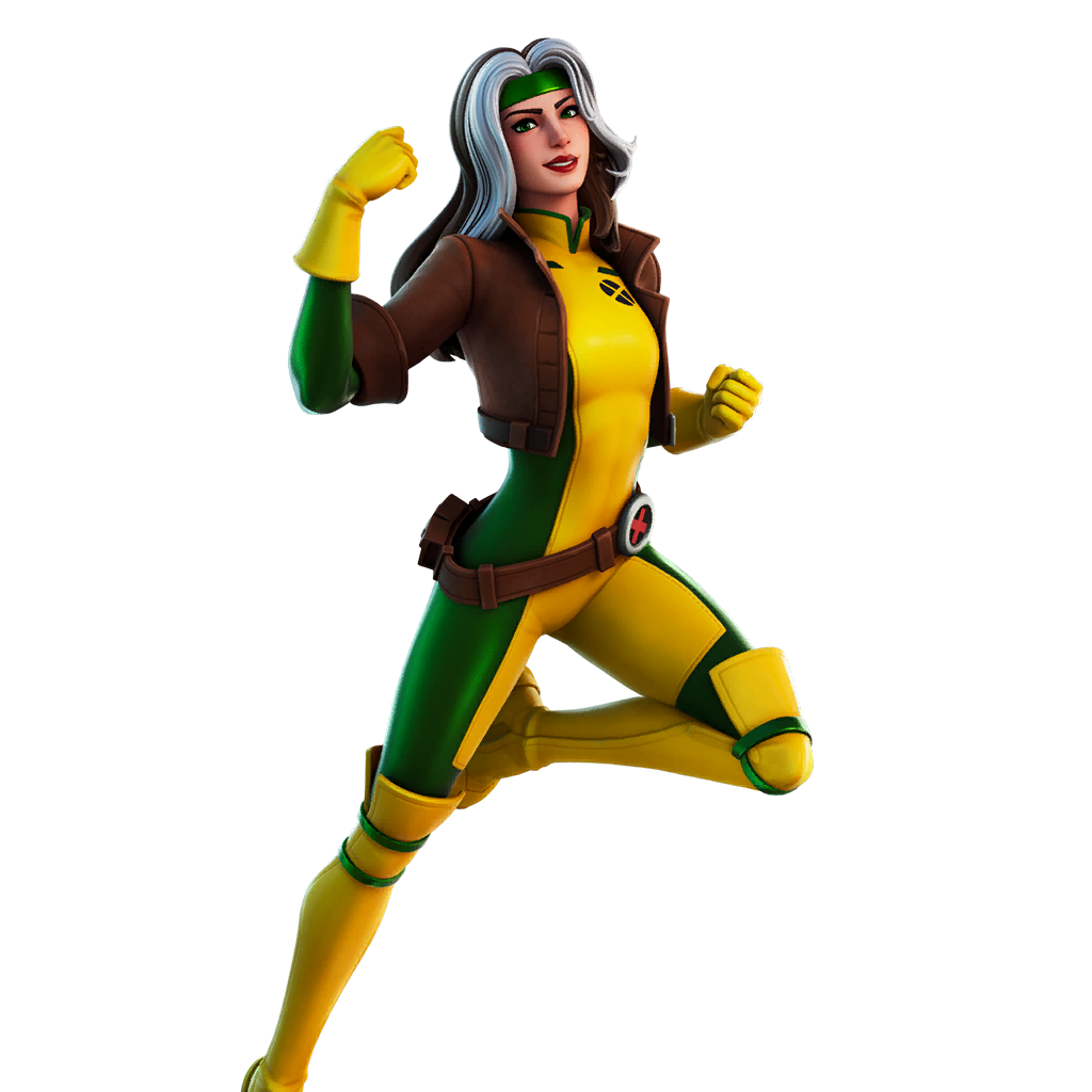 Fortniteoutfit Rogue