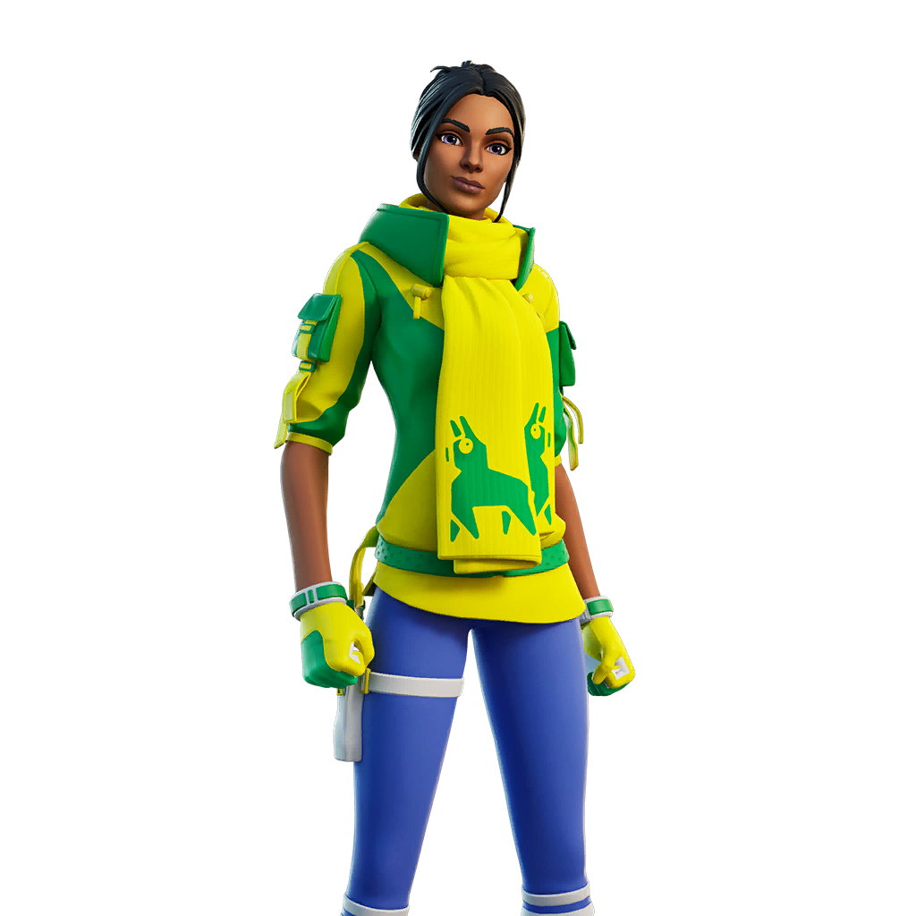 Fortniteoutfit Net Protector