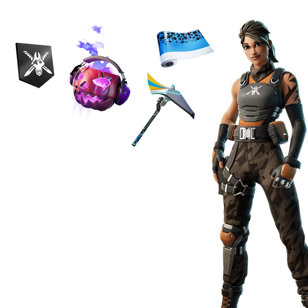 Fortnitebundle Ashtvn's Locker Bundle