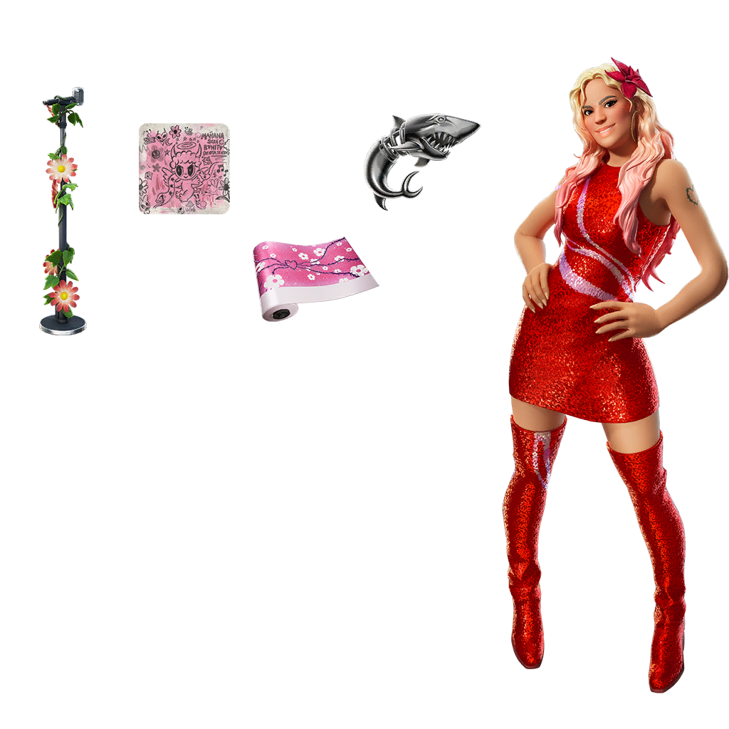 Karol G Outfit Bundle