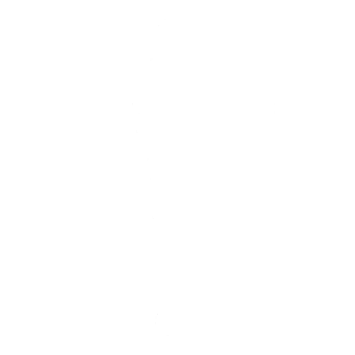 Fortniteemote The Renegade