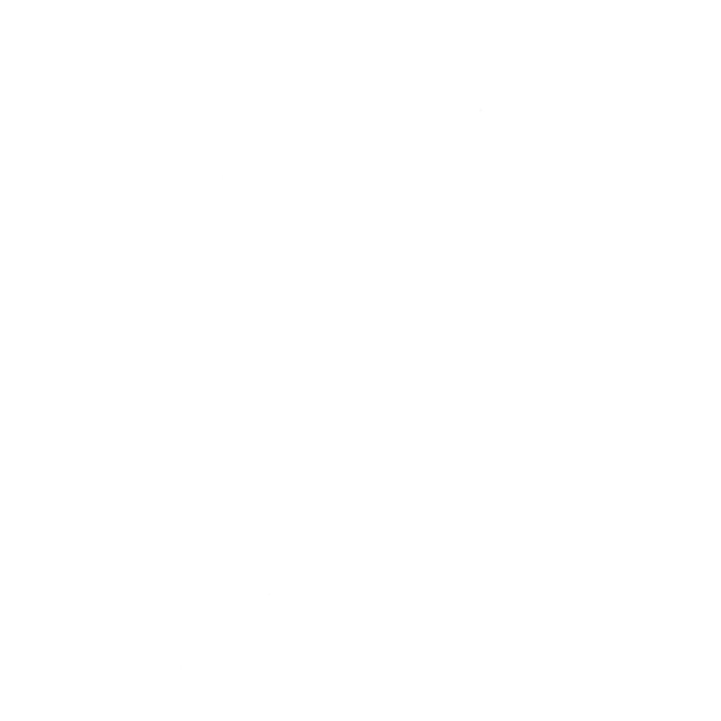 Puddle Hopper