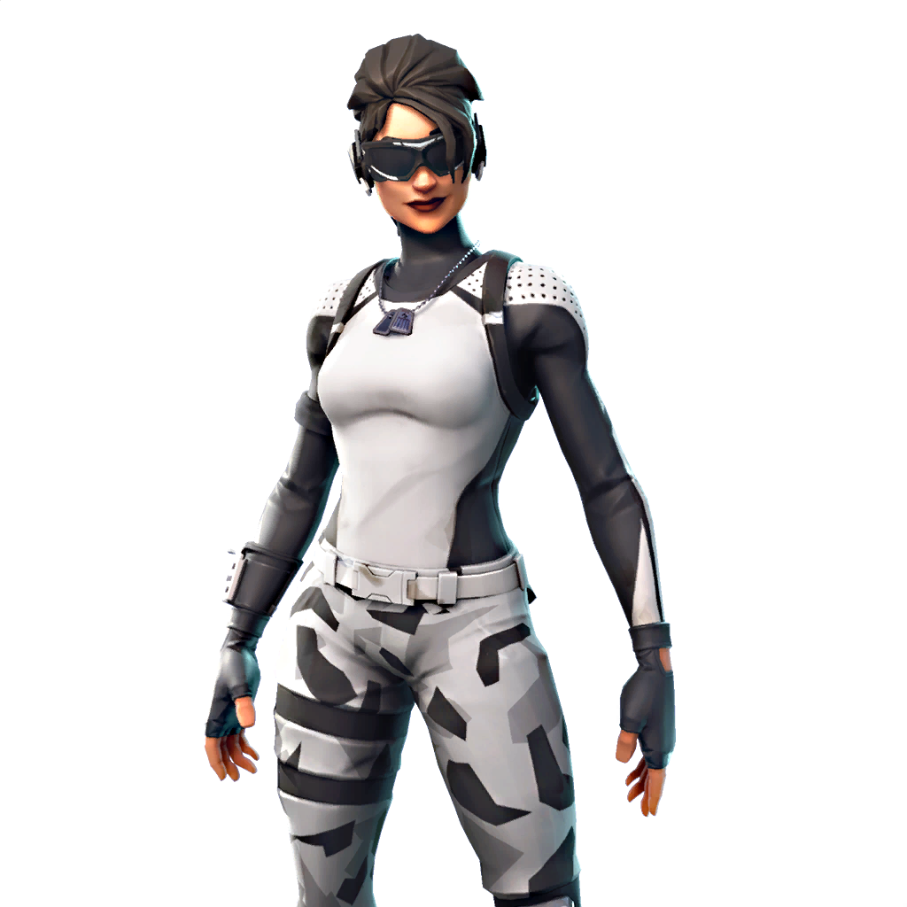 Fortniteoutfit Arctic Assassin