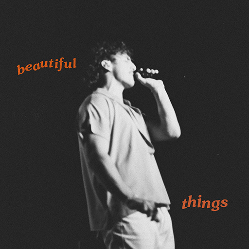 フォートナイトのBeautiful Things