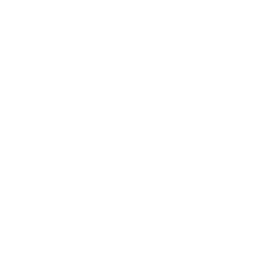 Shot Fox