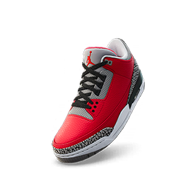 Air Jordan 3 SE 'Unite'