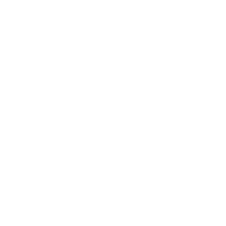 Bossa Boogie