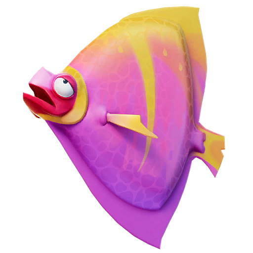 Pink Shield Fish