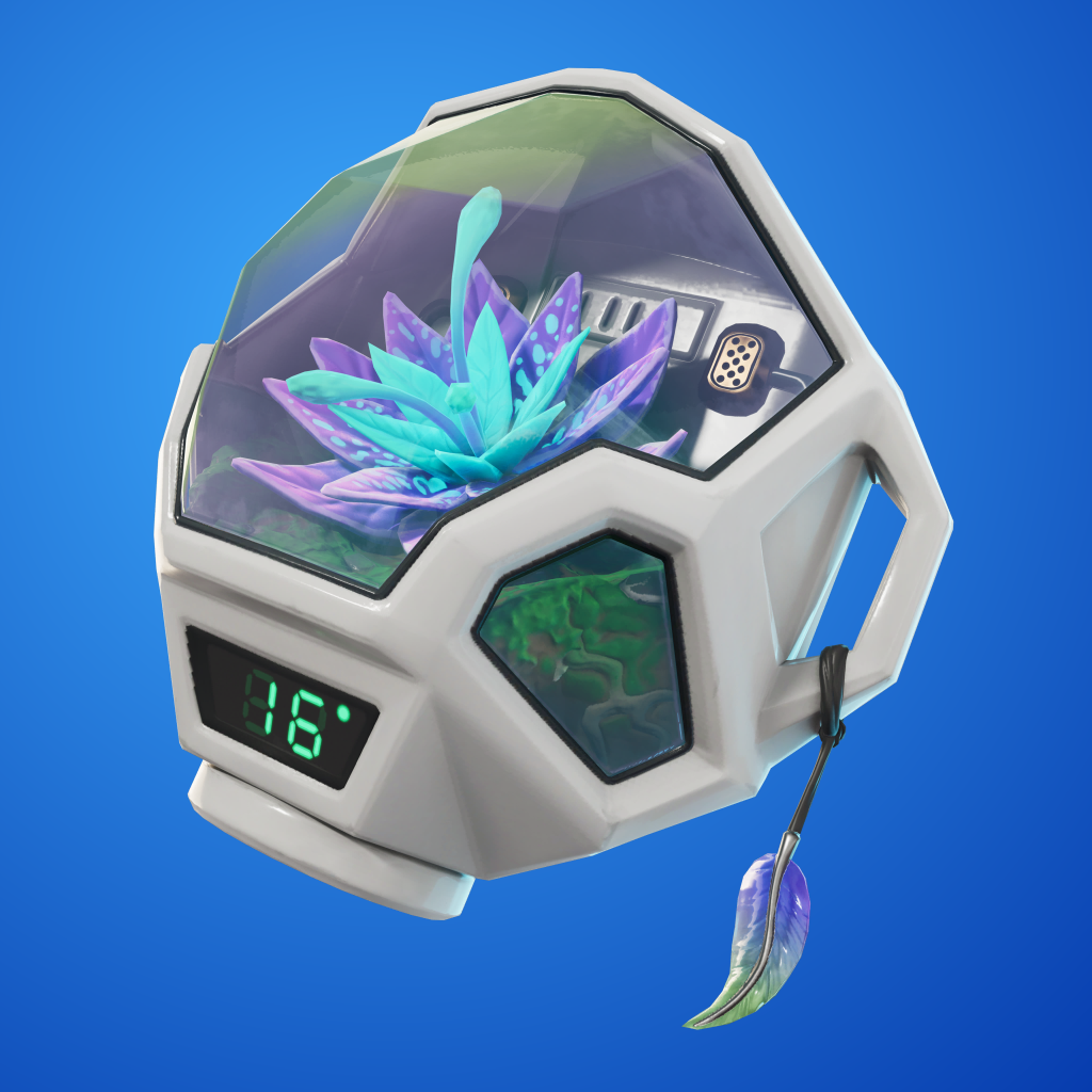 Blossom Pod