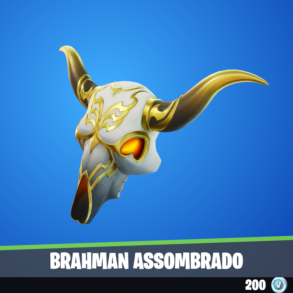 Brahman Assombrado