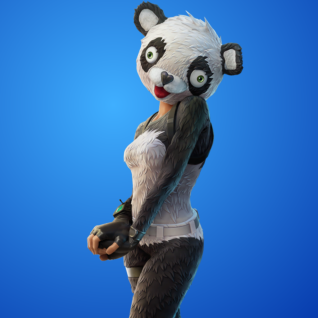 P.A.N.D.A Team Leader