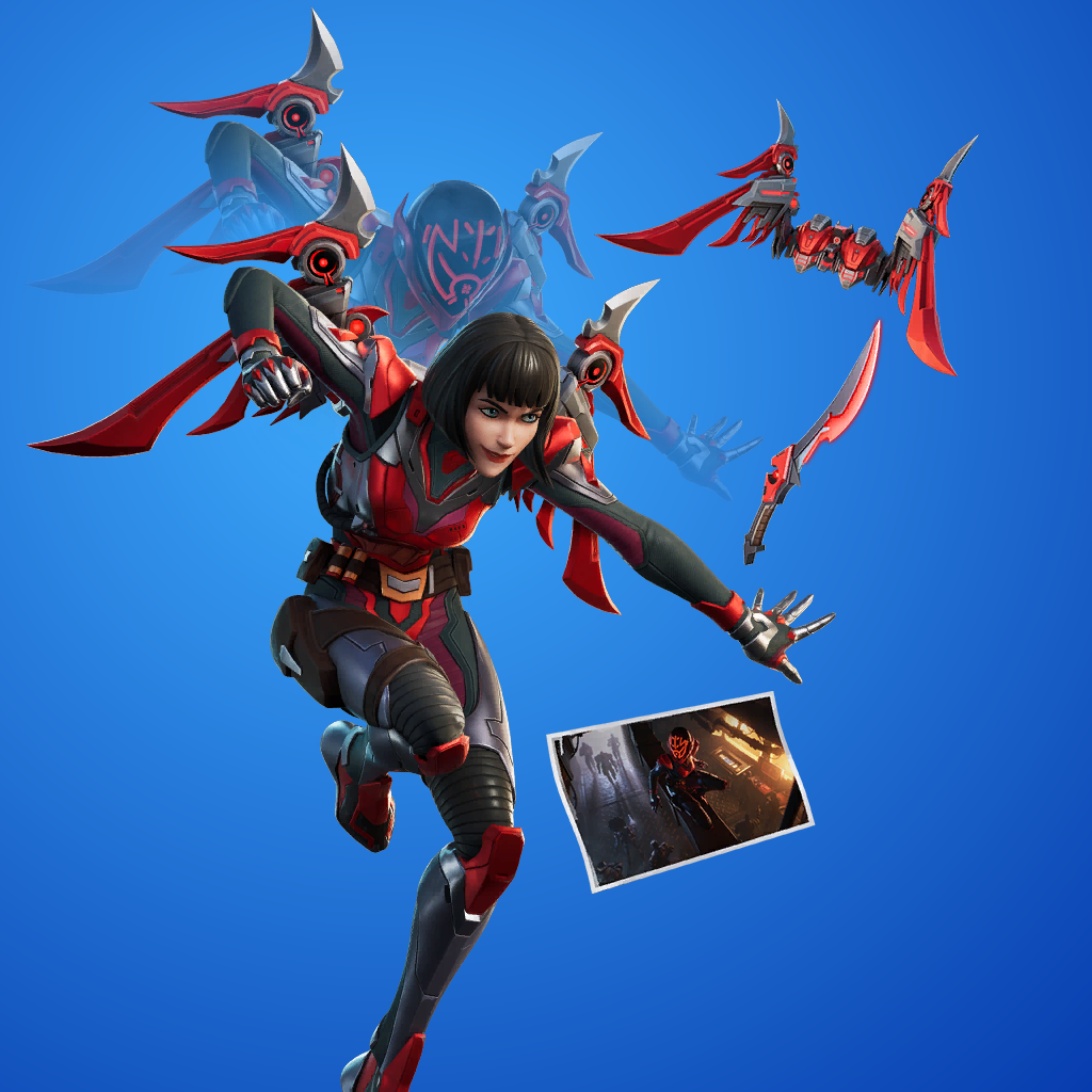 THE ORDER BUNDLE