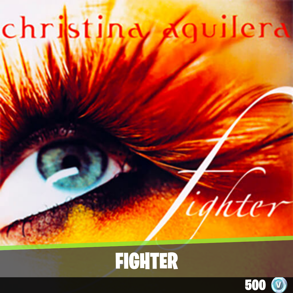 Fighter