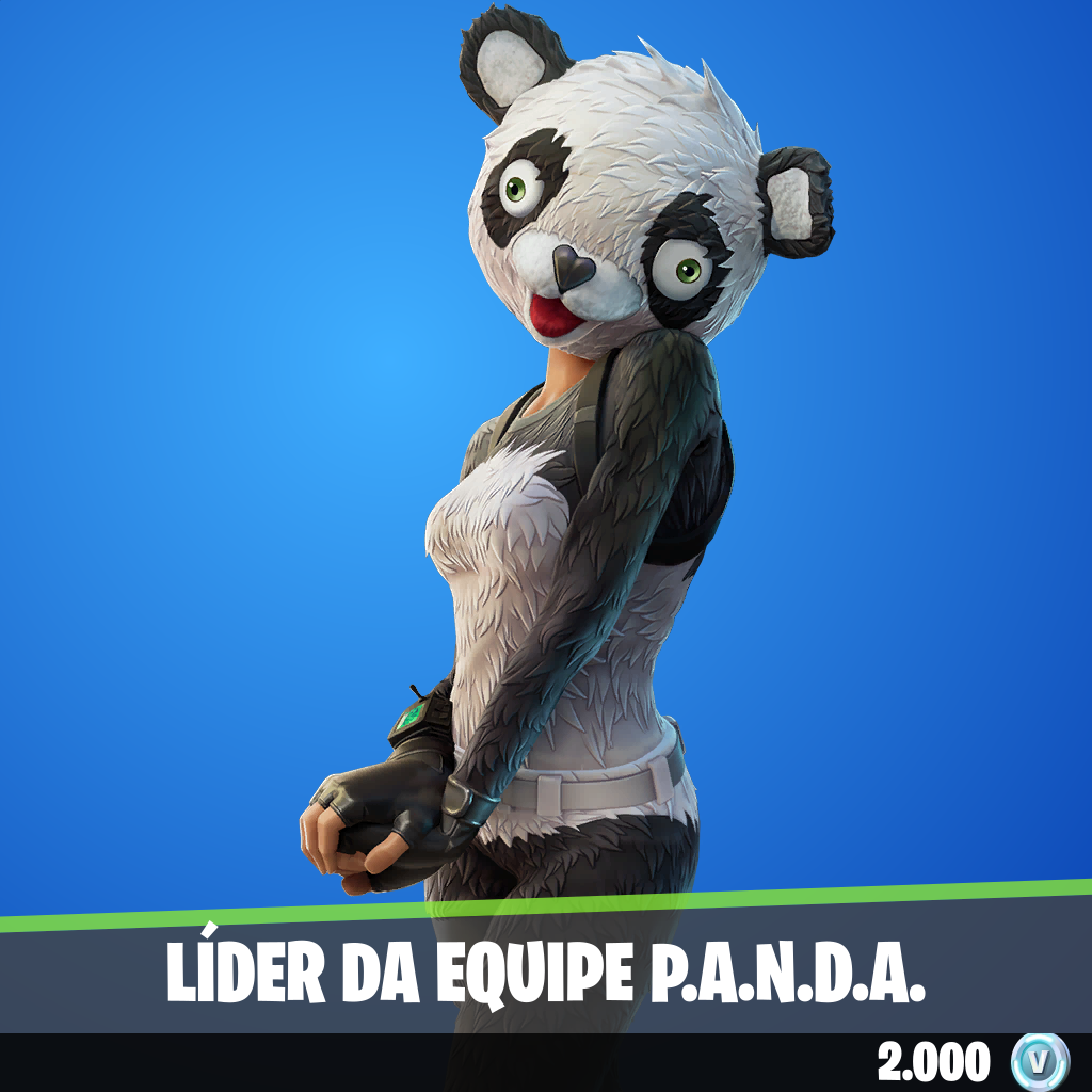 Líder da Equipe P.A.N.D.A.