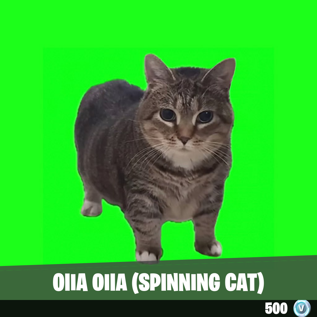 OIIA OIIA (Spinning Cat)
