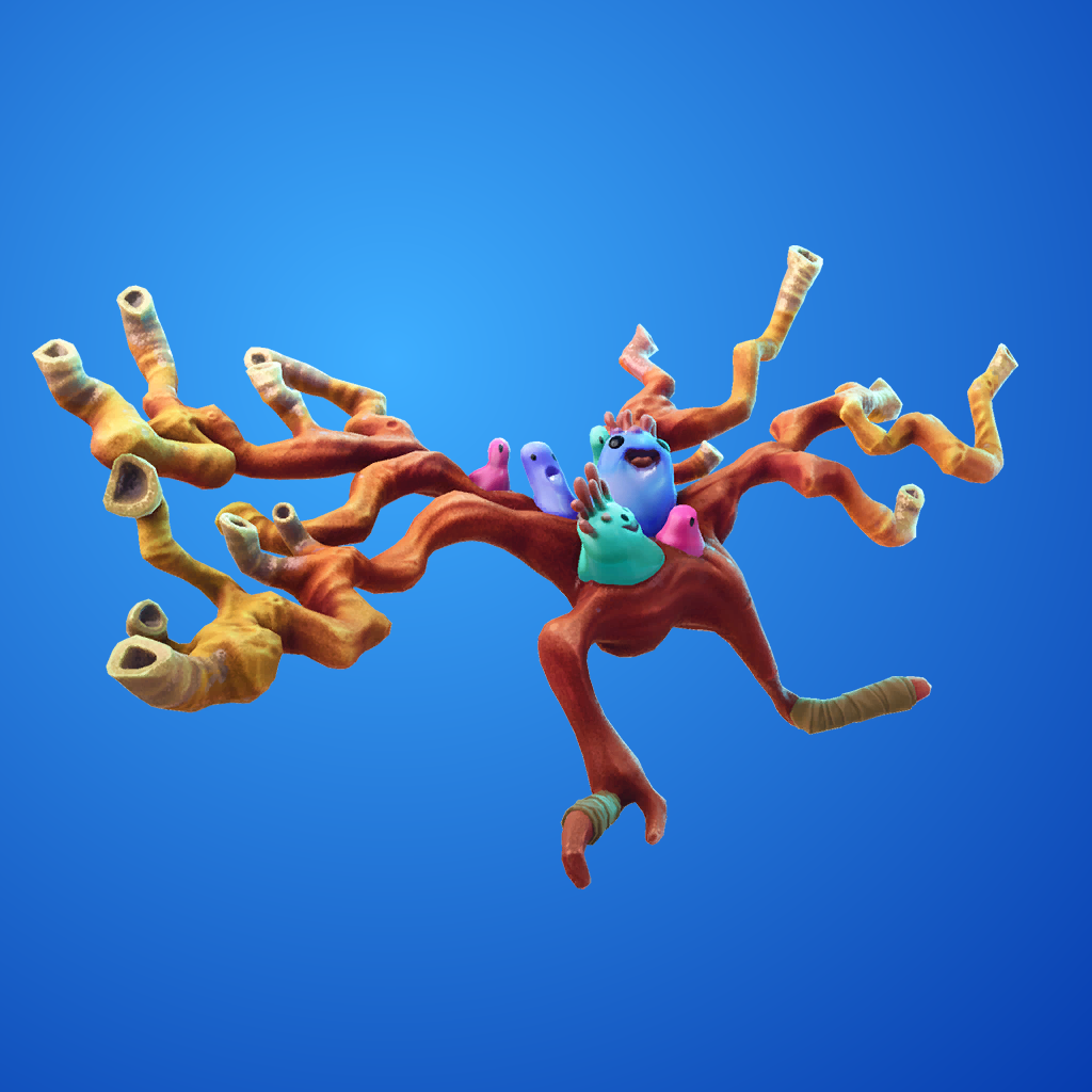 Coral Cruiser