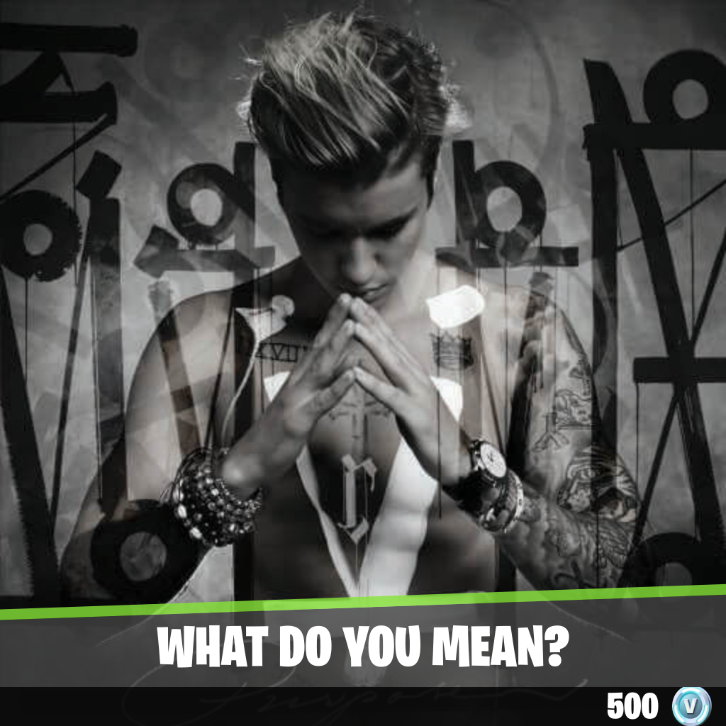 What Do You Mean?